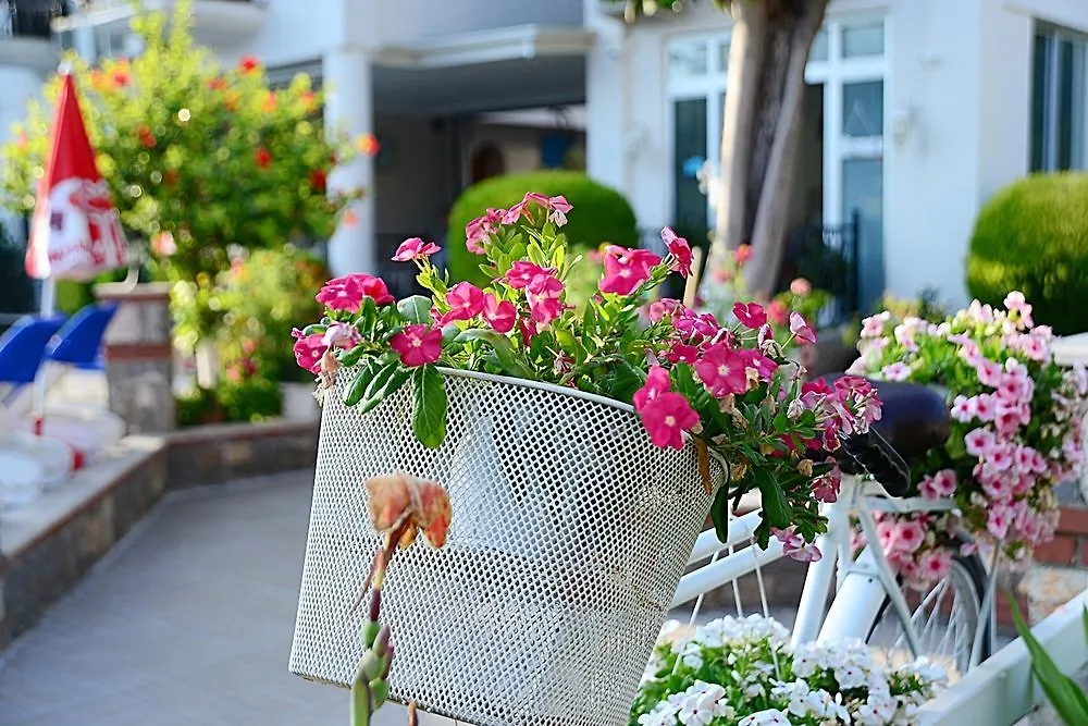 Bronze Hotel Oludeniz